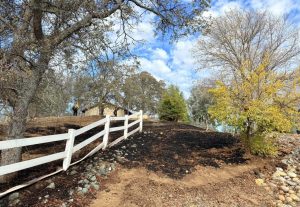Vegetation Fire in Rancho Calaveras started by discarded ashes - Calaveras Consolidated Fire Image