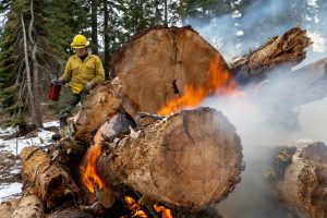 STF pile burning on the Calaveras Ranger District -- STF photo