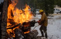 STF pile burning on the Calaveras Ranger District—STF photo