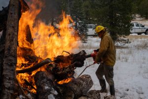 STF pile burning on the Calaveras Ranger District—STF photo