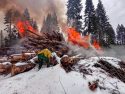 STF pile burning on the Calaveras Ranger District -- STF photo