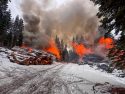 STF pile burning on the Calaveras Ranger District -- STF photo
