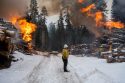 STF pile burning on the Calaveras Ranger District -- STF photo