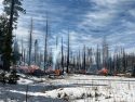 STF pile burning