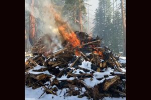 STF pile burning