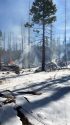 STF pile burning