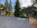 Intersection of Livingston Street and Barretta Street