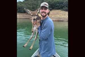 Timmy and the fawn he rescued from a coyote while fishing on New Melones Lake in Calaveras County
