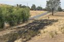 Vegetation fire near New Hogan Reservoir -- CCFD photo