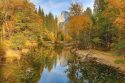 Yosemite National Park Ackerson Meadow Restoration Project