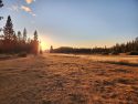 Yosemite National Park Ackerson Meadow Restoration Project