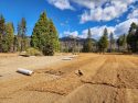 Yosemite National Park Ackerson Meadow Restoration Project