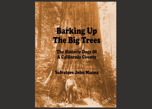 Barking up the Big Trees book authored by Salvatore John Manna