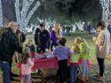 Winter Wonderland At Black Oak Casino Resort