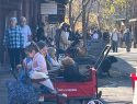 Columbia All Equestrian Christmas Parade