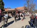 Columbia All Equestrian Christmas Parade