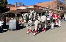 Columbia All Equestrian Christmas Parade