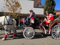 Columbia All Equestrian Christmas Parade