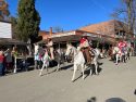 Columbia All Equestrian Christmas Parade