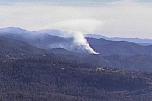 Lake Fire burning along Phoenix Lake Road near Bellview Road in Tuolumne County