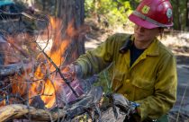 Pile burning in forest -- STF photo