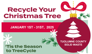 Christmas Tree Recycling Program