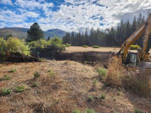 Yosemite National Park Ackerson Meadow Restoration Project