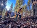 Pile burning in forest -- STF photo