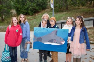 Belleview Students Shark