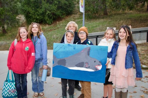 Belleview Students Shark
