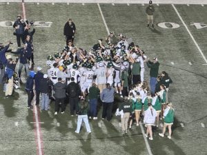 Sonora Wildcats win state Championship