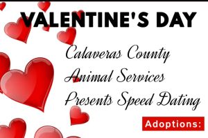 CCAS Valentines Day Speed Dating event