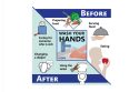 CDPH Norovirus on the rise in California with chart on washing hands