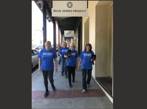 Blue Zones Project Walking Moai