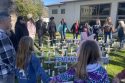FACTS-Fentanyl Awareness Coalition of Tuolumne County & Surrounding Areas moving memorial infront of TC probation on South Washington Street -- FACTS photo