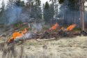 STF pile burning