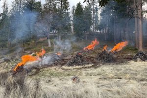 STF pile burning