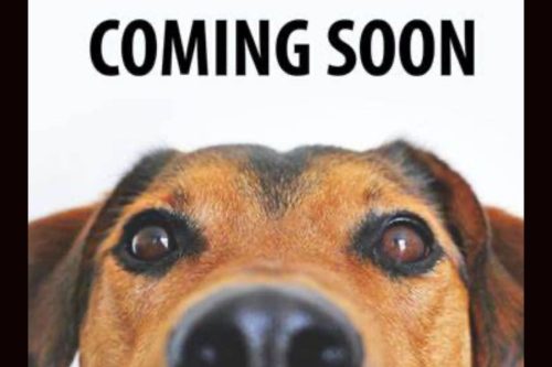 TCAC opening a spay and neuter facility to help bring down the number of strays