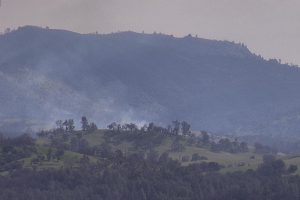 Vegetation fire in Valley Springs