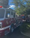 Crash into Sonora Business -- TCFD photo