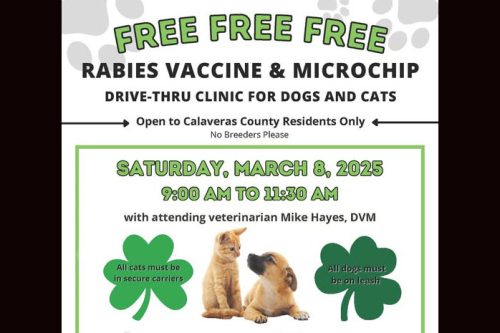 CCAS-Free Rabies Clinic flyer copy