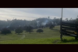 Debris burn pile in Calaveras County -- CCF photo