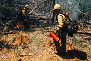 Fire crews from the Groveland Ranger District performed prescribed fire operations in the China Ridge area, near the Pines Campgrounds, May 11, 2023.