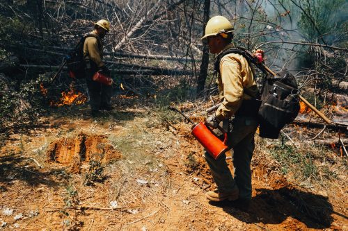 Fire crews from the Groveland Ranger District performed prescribed fire operations in the China Ridge area, near the Pines Campgrounds, May 11, 2023.