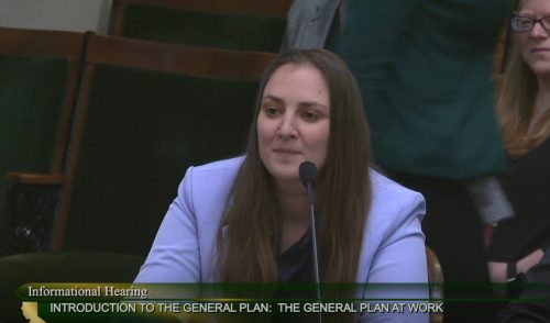 Supervisor Amanda Folendorf speaks at state capitol