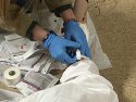 Sonora High School CTE Healthcare Pathways lab -- Photo taken by: Tracey Petersen