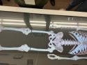 Sonora High School CTE Healthcare Pathways lab -- Photo taken by: Tracey Petersen