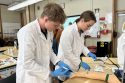 Sonora High School CTE Healthcare Pathways lab