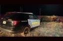 TCSO arrest scene photo