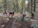 STF Crew 3 from the California Conservation Corps (CCC) Stockton Delta Center got to work clearing obstacles like brush to reduce the risk of rollovers and other accidents -- STF photo